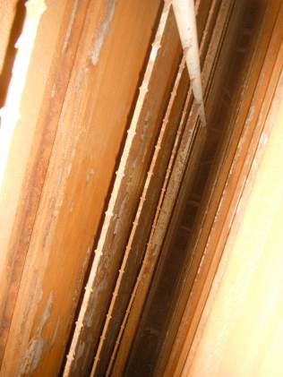 Slack old saw band DE